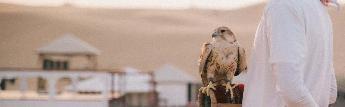 Beyond Skyscrapers: Unveiling Dubai's Cultural Heritage